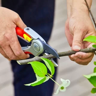 ロースティングパン | スキャンパン （SCANPAN）